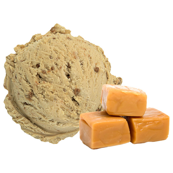 250448 Salted Caramel Roomijs doos 4,7ltr