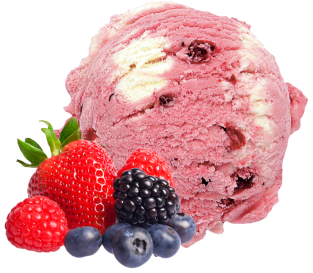 250455 Yoghurt Bosvruchten Ijs doos 4,7ltr
