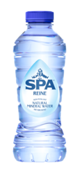 653560 Spa Reine / Blauw Petfl (Kl) tray 24x33cl